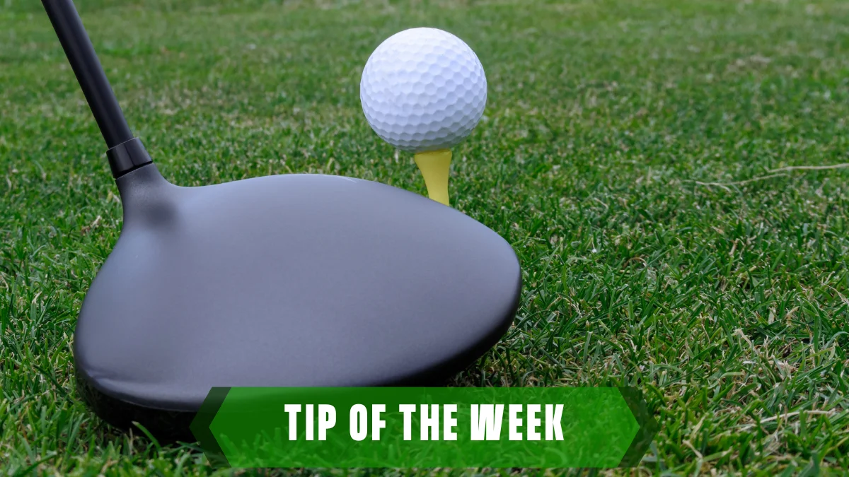 Don’t fear the big dog